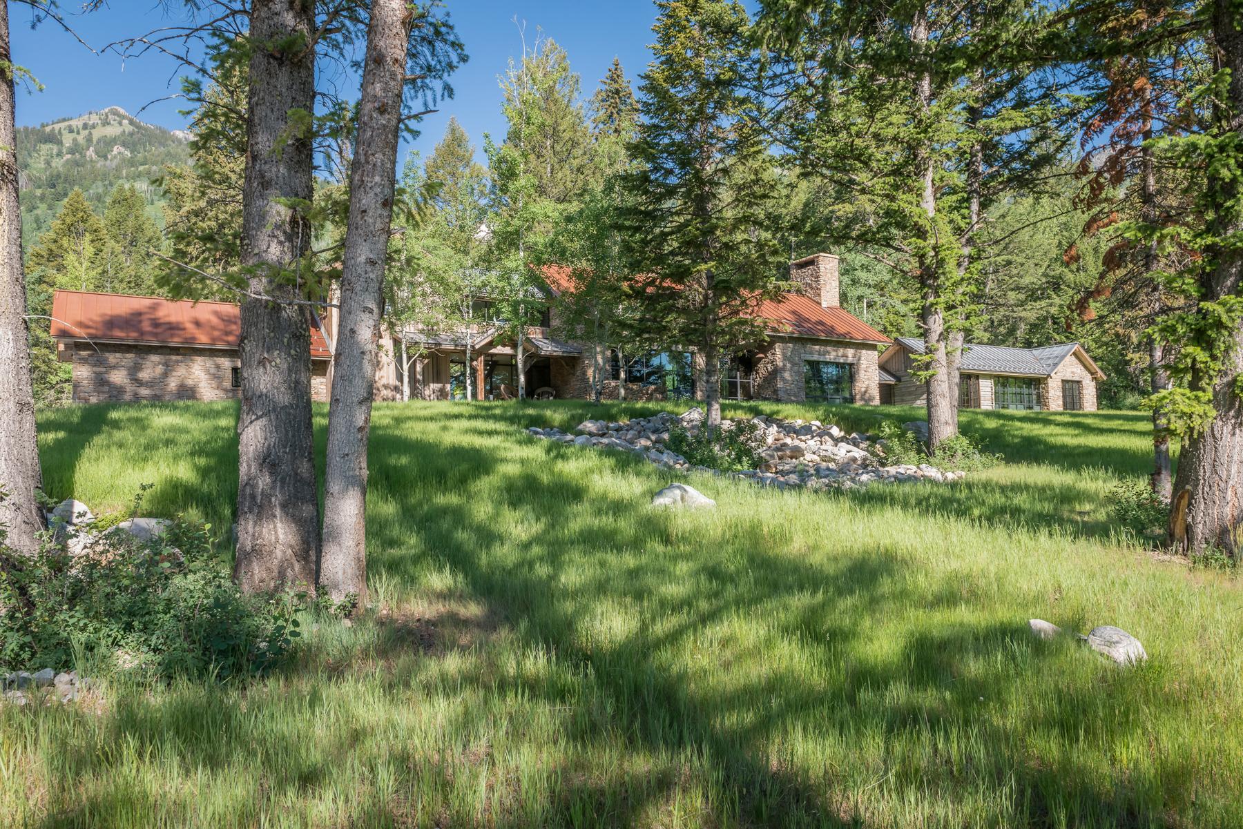 FOREST EDGE, photo 12