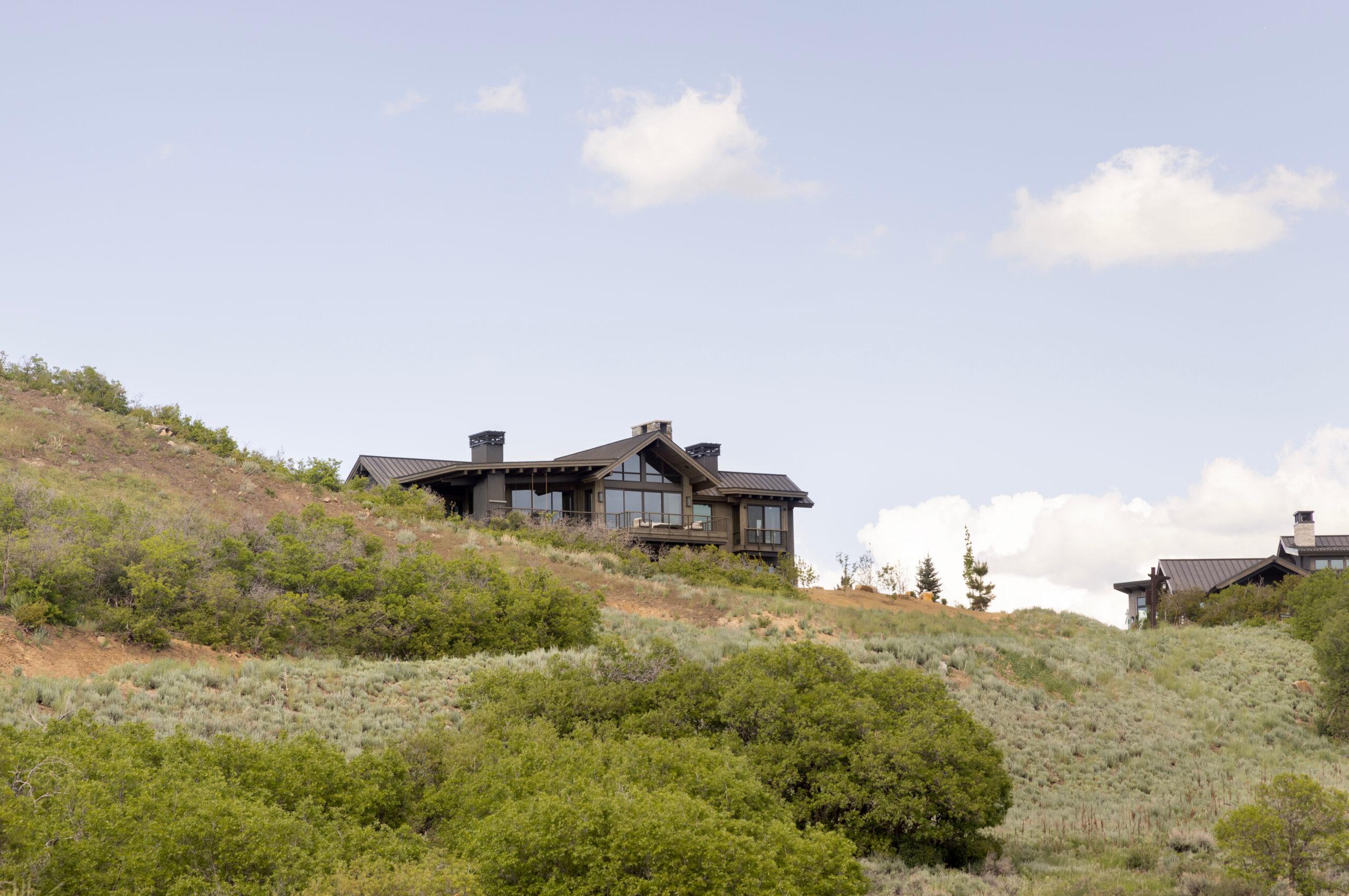 The Brave House, photo 3