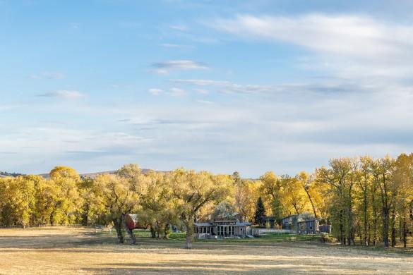 Crazy Trixie’s Ranch, photo 3